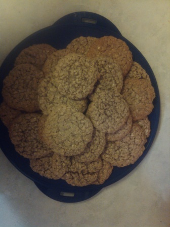 Oatmeal Horse Cookies